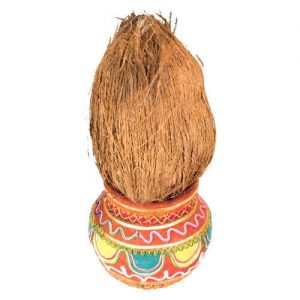SABID NARIYAL / COCONUT