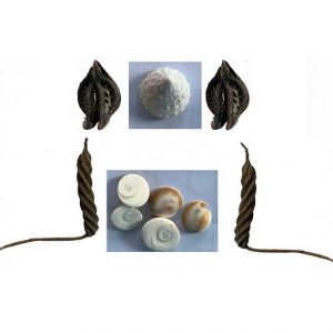 Sri Guruji kit -Devi ( 1+1 offer )